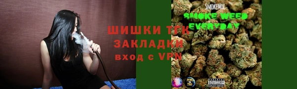 СК Алексин