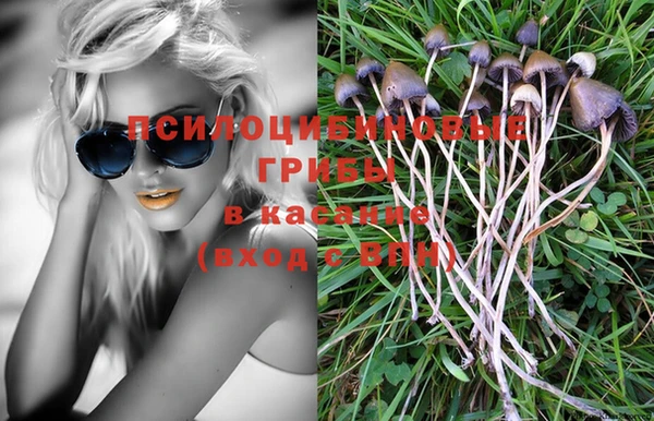тгк Алзамай