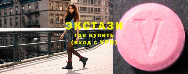СК Алексин