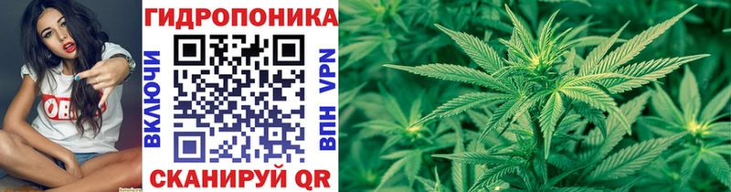 hydra рабочий сайт  Биробиджан  Шишки марихуана тримм 
